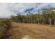 82 Allegra Drive, Heybridge TAS 7316