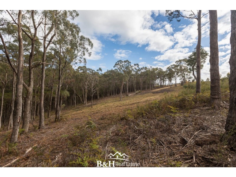 82 Allegra Drive, Heybridge TAS 7316