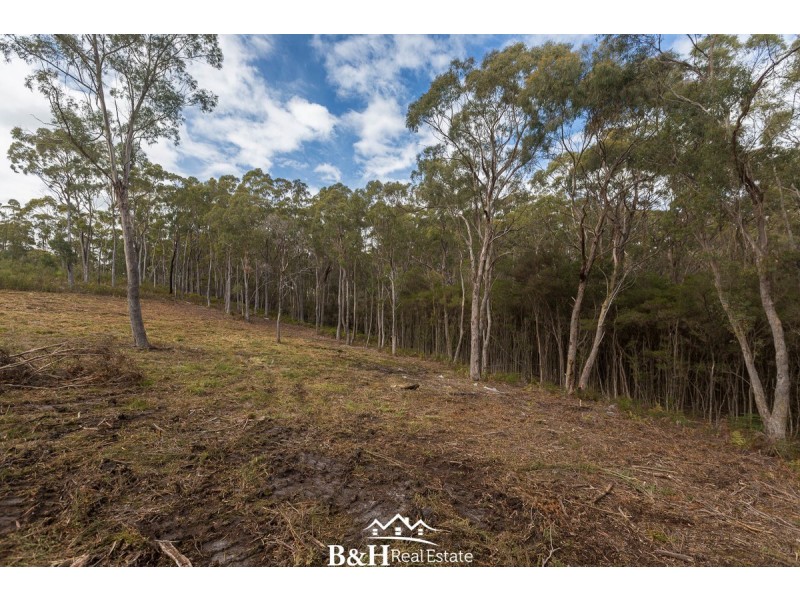 82 Allegra Drive, Heybridge TAS 7316