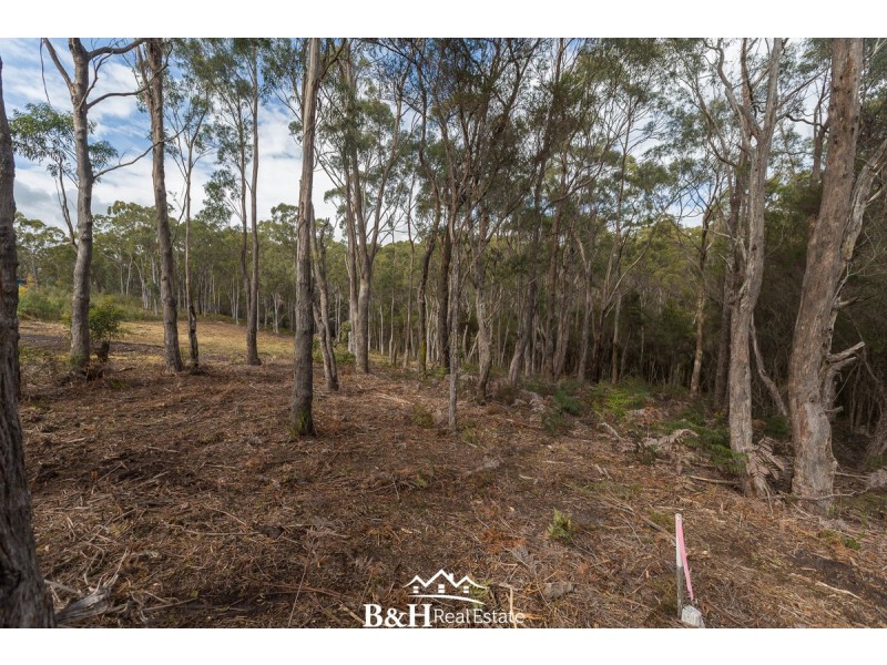 82 Allegra Drive, Heybridge TAS 7316