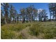 21 Dennison Close, Heybridge TAS 7316