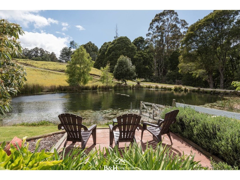 1079 Preston Road, North Motton TAS 7315