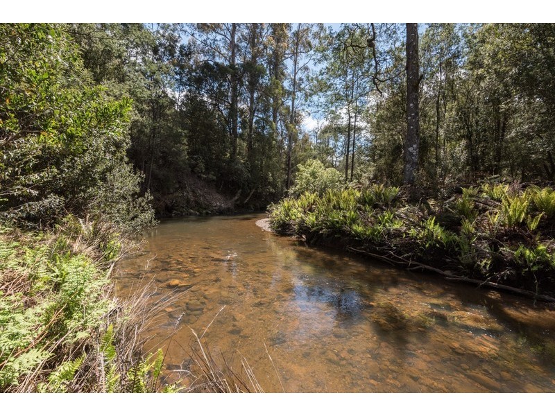 1079 Preston Road, North Motton TAS 7315