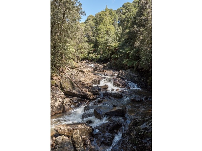 1079 Preston Road, North Motton TAS 7315