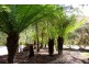 36 Harvey Street, Strahan TAS 7468