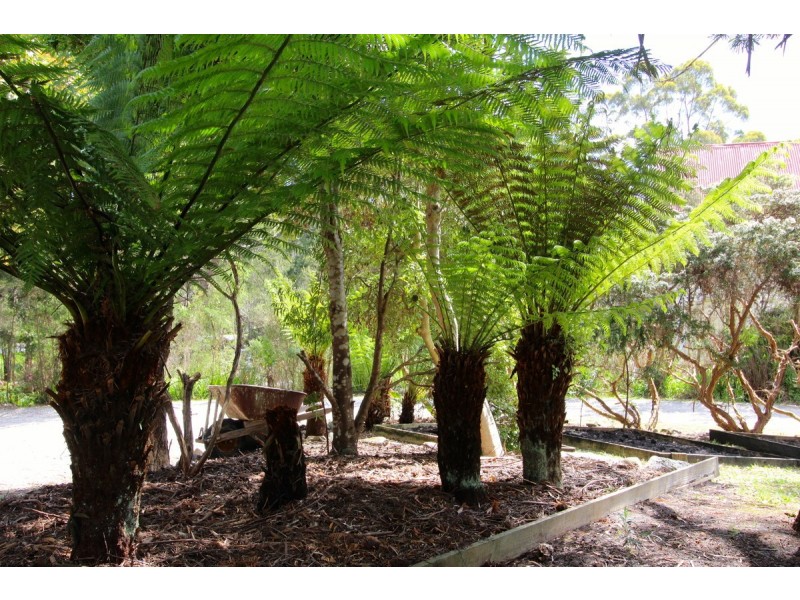 36 Harvey Street, Strahan TAS 7468