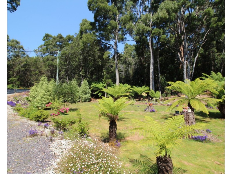 15 Jones Street, Strahan TAS 7468