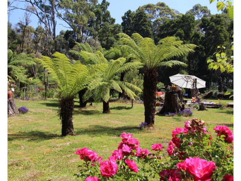 15 Jones Street, Strahan TAS 7468