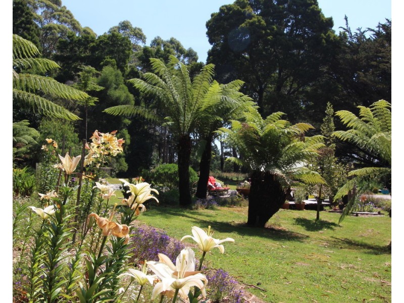 15 Jones Street, Strahan TAS 7468