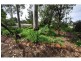 186 Henderson Road, Munster WA 6166