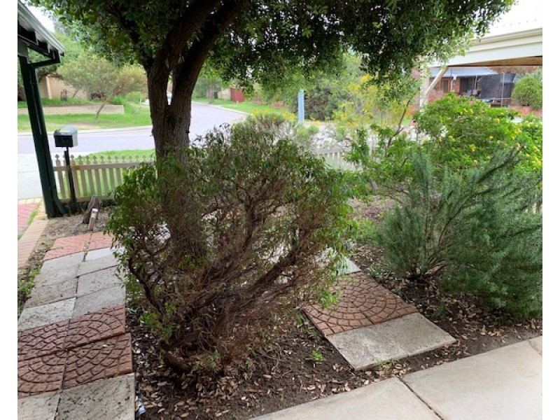 5 Bolton Place, Fremantle WA 6160