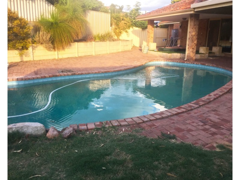 7 Urwick Court, Kardinya WA 6163