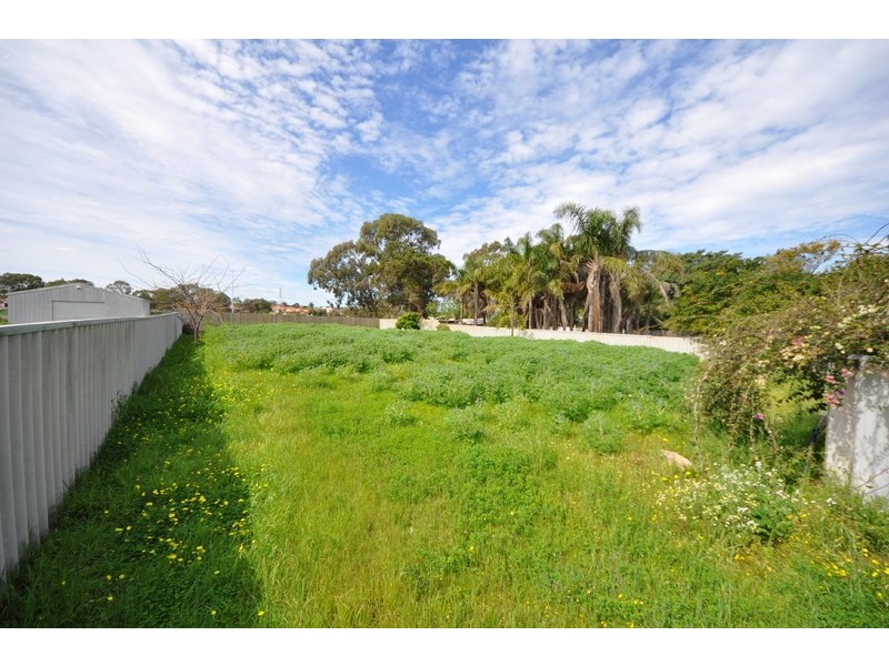 50 Davilak Avenue, Hamilton Hill WA 6163