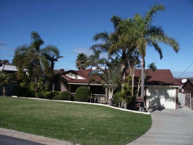 3 Ruddick Place, Hamilton Hill WA 6163