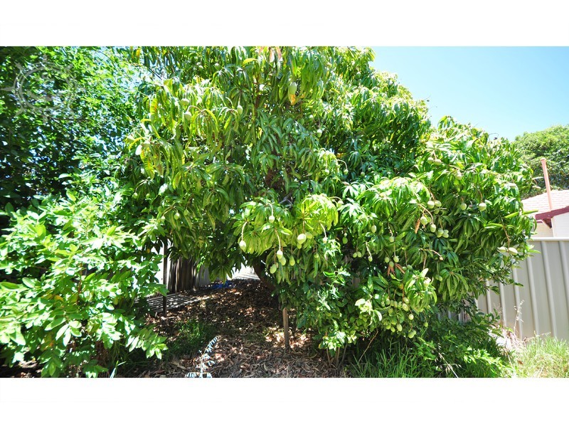 15 Thorsager Street, Coolbellup WA 6163