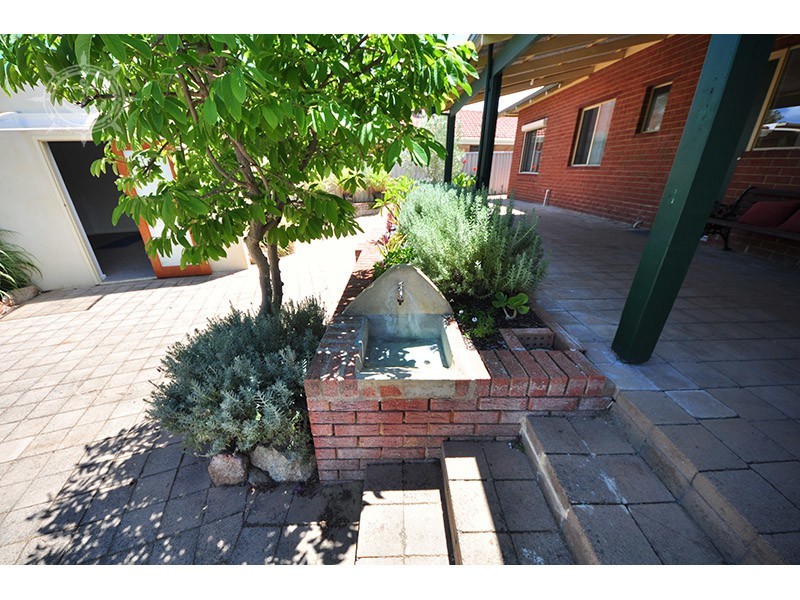 66 Turfan Way, Munster WA 6166