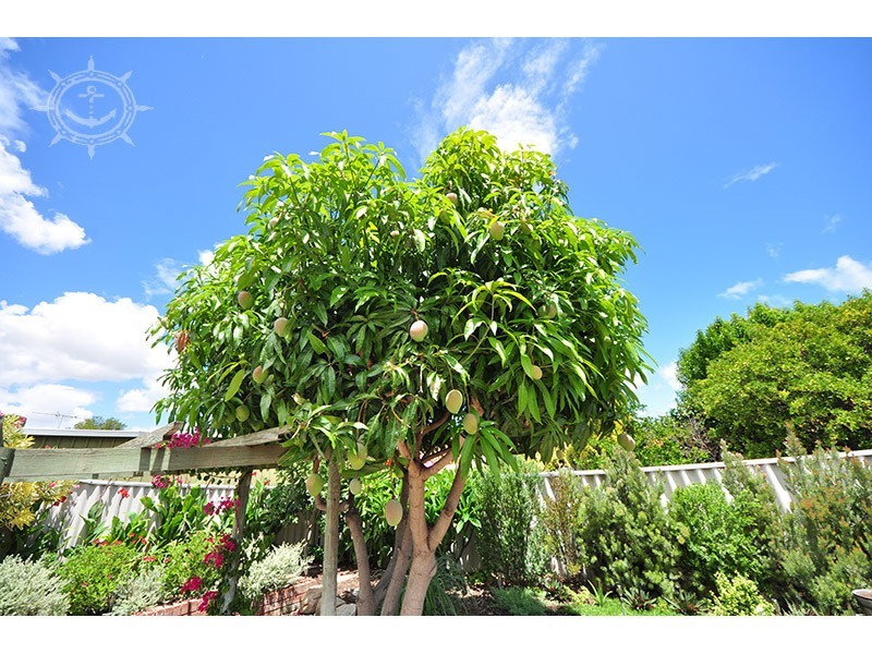 66 Turfan Way, Munster WA 6166