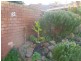 4/182 Holland Street, Fremantle WA 6160