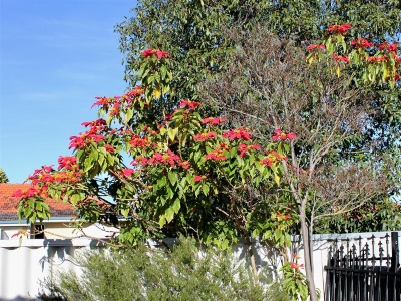 94A Balga Avenue, Balga WA 6061