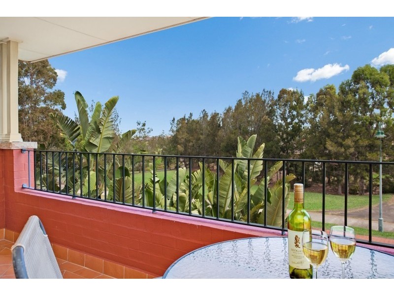 17 Rothbury Terrace, Thornton NSW 2322