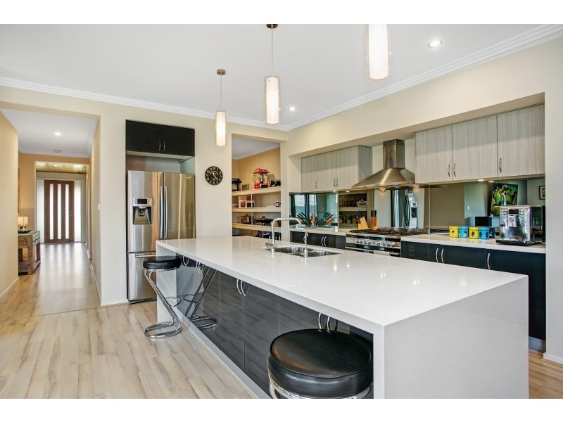 10 Arrowtail Street, Chisholm NSW 2322