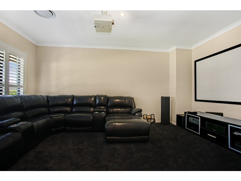 10 Arrowtail Street, Chisholm NSW 2322