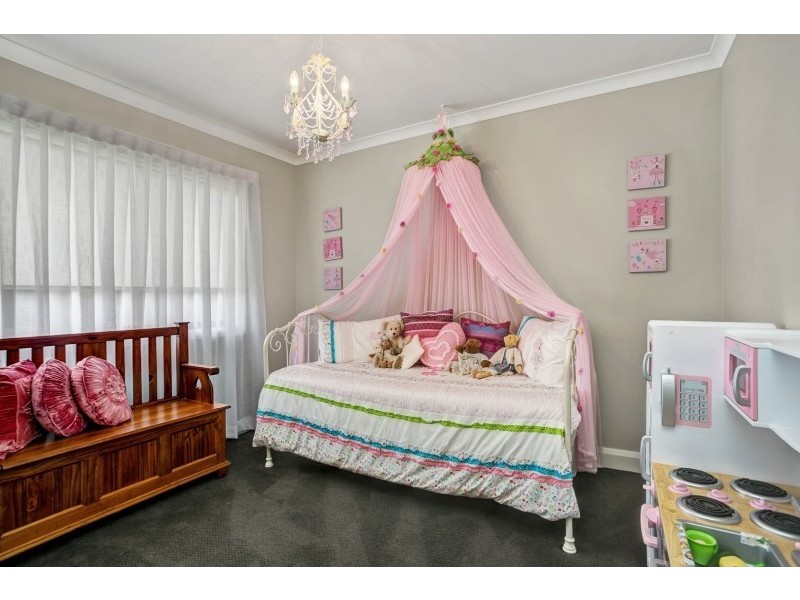 26 Dragonfly Drive, Chisholm NSW 2322