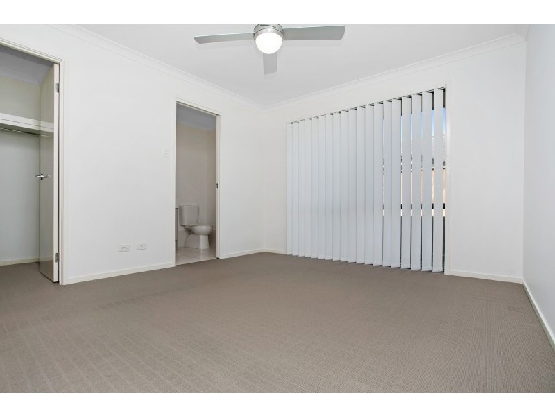 15 Grasshawk Drive, Chisholm NSW 2322