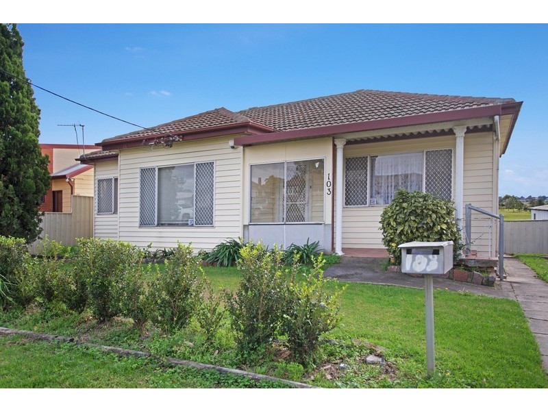 103 Anderson Drive, Tarro NSW 2322
