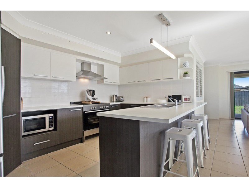 15 Mistfly Street, Chisholm NSW 2322