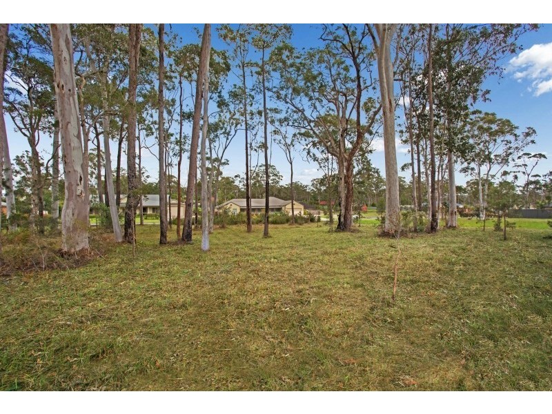 39 Federation Drive, Medowie NSW 2318