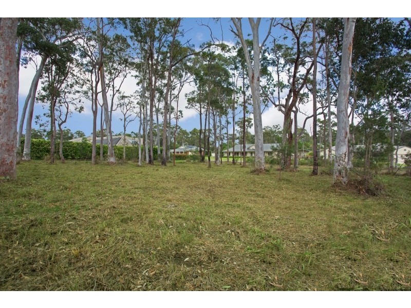 39 Federation Drive, Medowie NSW 2318