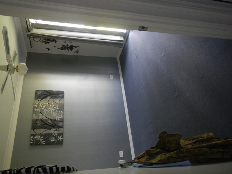 7 Tupelo Street, Medowie NSW 2318