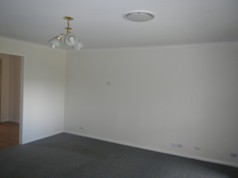 4 Birch Close, Medowie NSW 2318