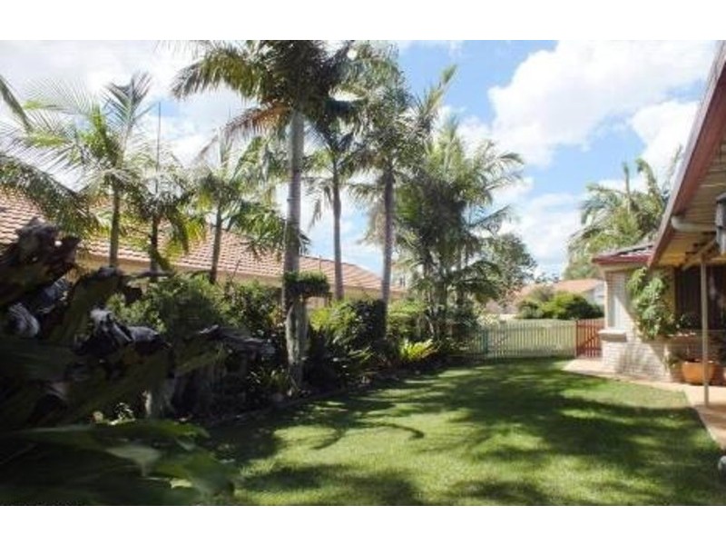 137 Kindlebark Drive, Medowie NSW 2318