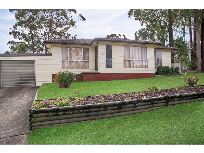3 Brush Box Avenue, Medowie NSW 2318