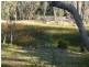 Lot 230,  Richardson Road, Medowie NSW 2318