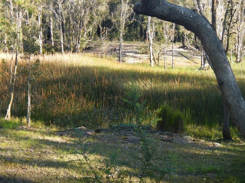 Lot 230,  Richardson Road, Medowie NSW 2318