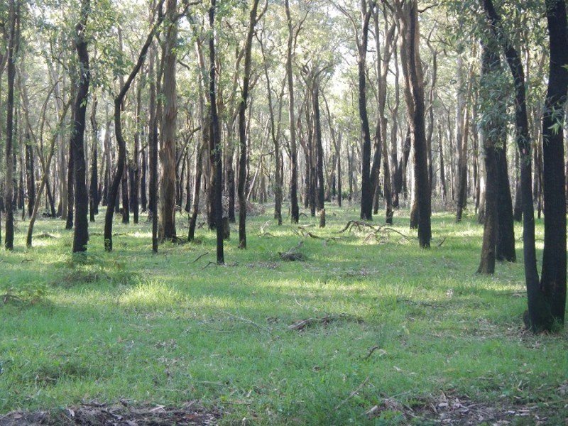 Lot 230,  Richardson Road, Medowie NSW 2318