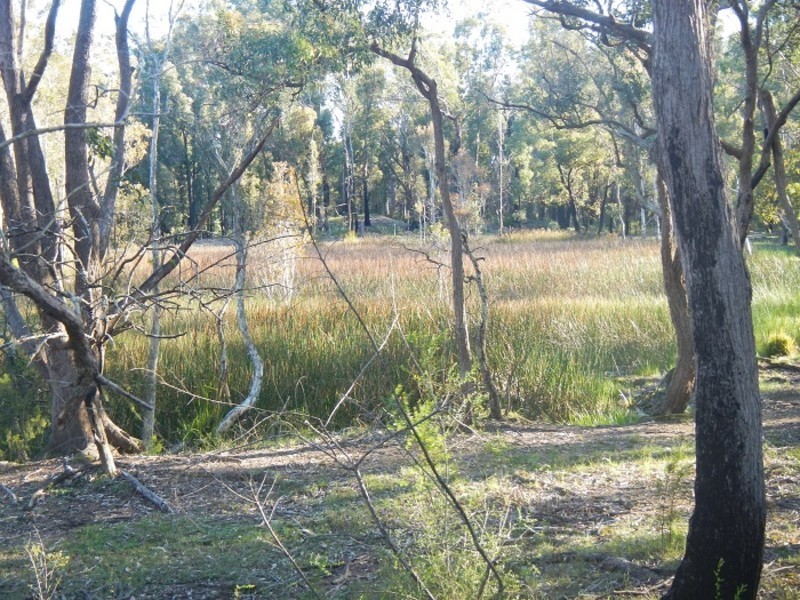 Lot 230,  Richardson Road, Medowie NSW 2318