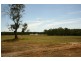 Lot Lots 211-220,  Wade Close, Medowie NSW 2318