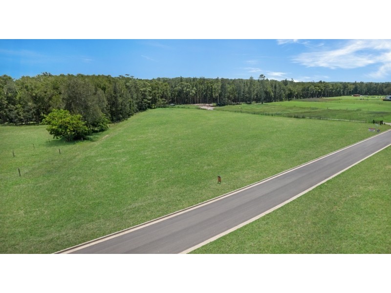 13 Pastures Drive, Medowie NSW 2318
