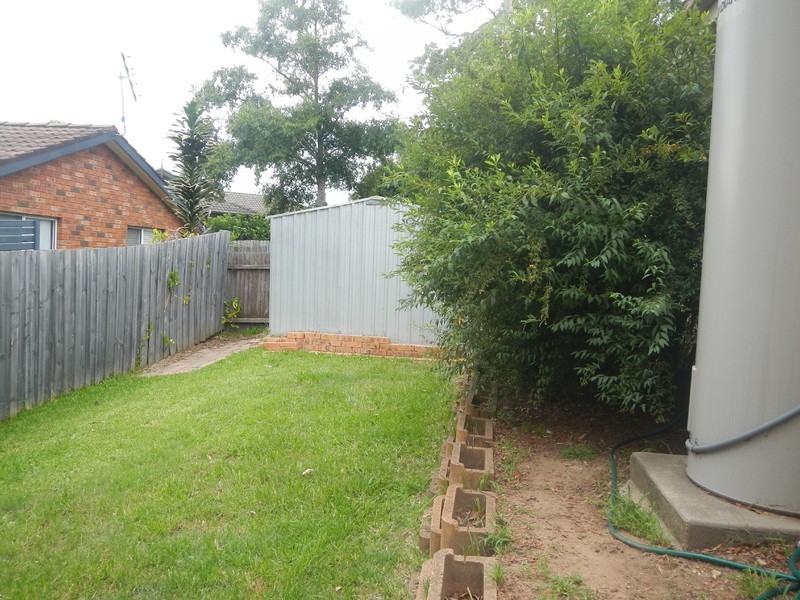 14 Kindlebark Drive, Medowie NSW 2318