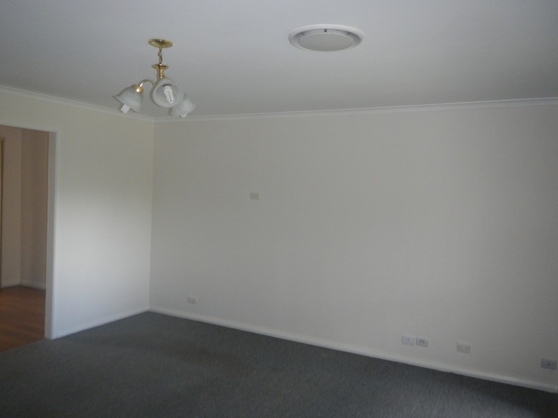 4 Birch Close, Medowie NSW 2318