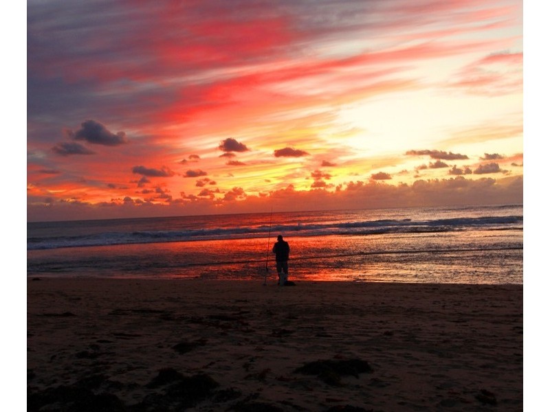 2/28 Kabbarli Street, Falcon WA 6210