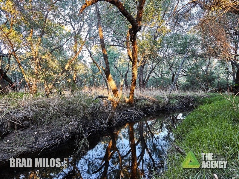 14b Yulan Court, Huntingdale WA 6110