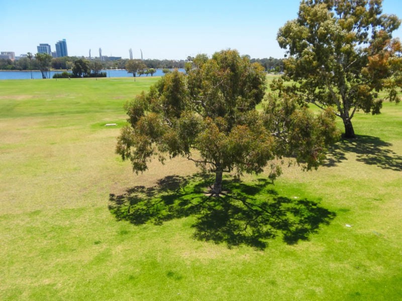 31 Swanview Terrace, South Perth WA 6151