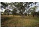 3 Connor Street, Toodyay WA 6566