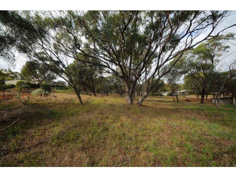 3 Connor Street, Toodyay WA 6566