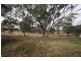 3 Connor Street, Toodyay WA 6566